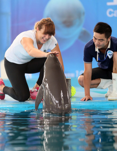 核心原因在 核心原因在