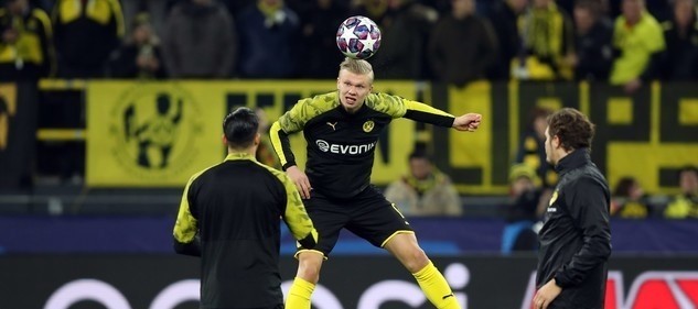 1岁的格鲁 1岁的格鲁